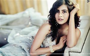 Indian film actress Hebah Patel in a mesmerising avatar